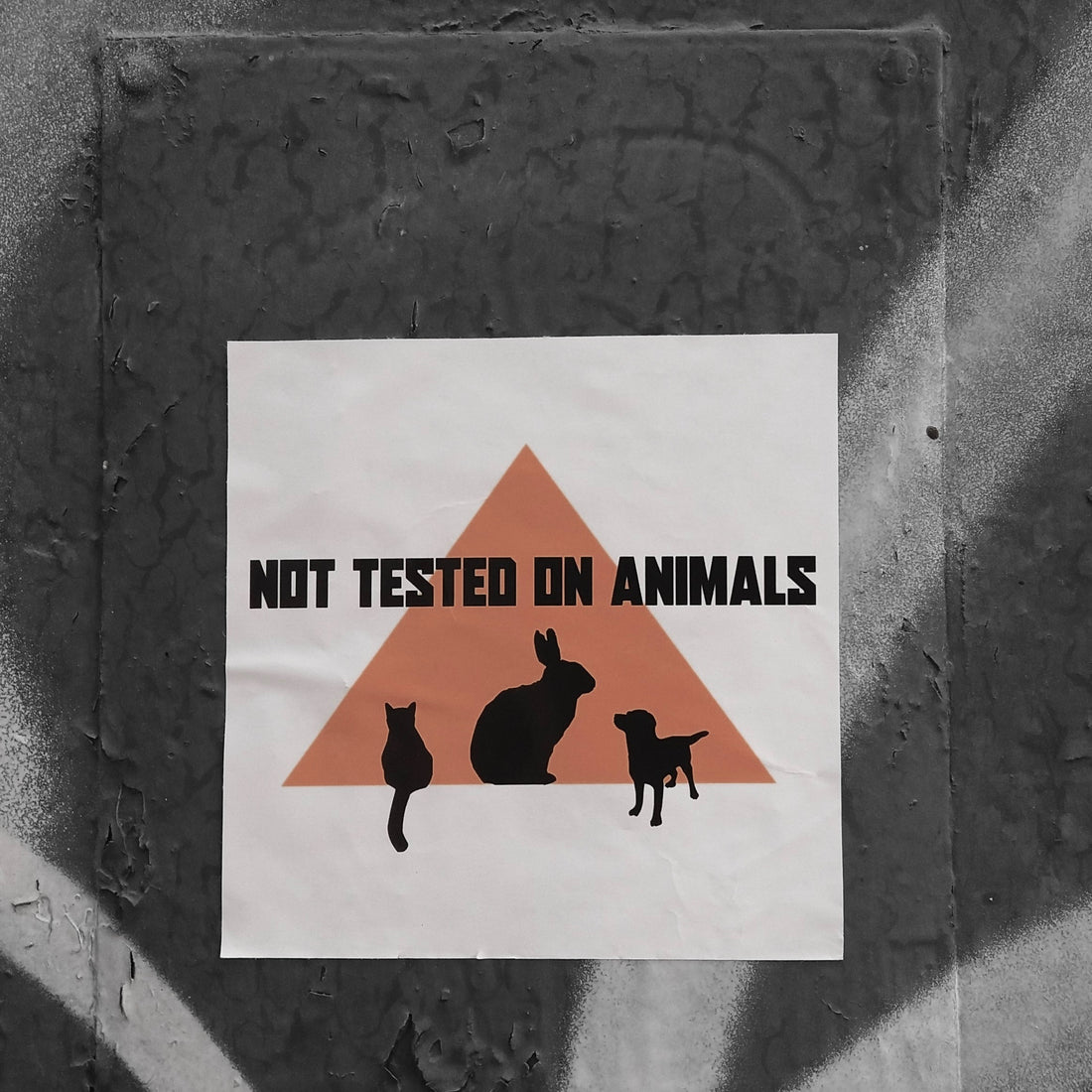 Why You Should Switch to Cruelty-Free